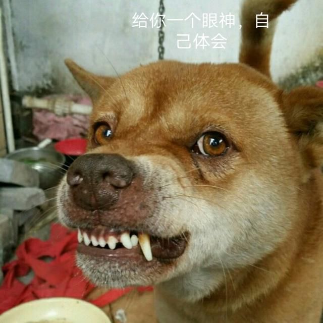 黄毅清扬言：要替天行道，揭露唐爽谎言，网友评论遭打脸！