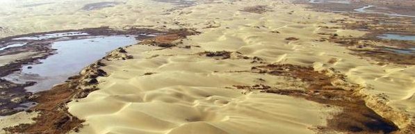  「中东国家」海水取之不尽，用来灌溉沙漠会怎样？看看中东国家