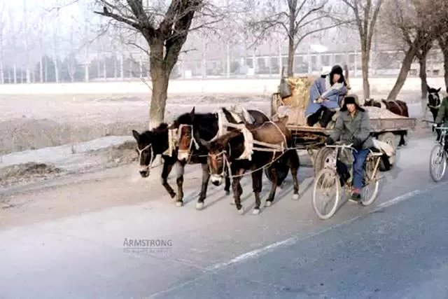 35年前的老照片记录下二十世纪八十年代的中国