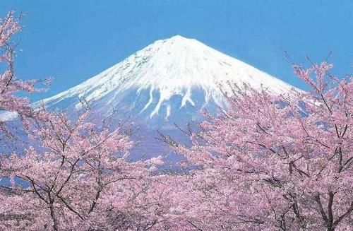 日本富士山不属于国家所有，每年都要交高额租金