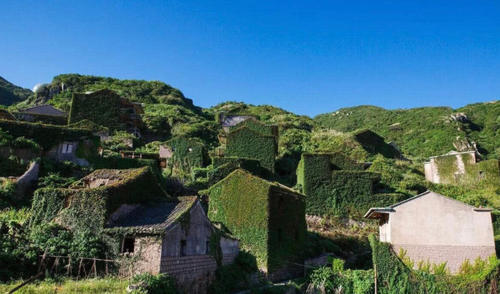 广东最神圣的无人村，荒废已有20年，如今整个村子被树“占领”