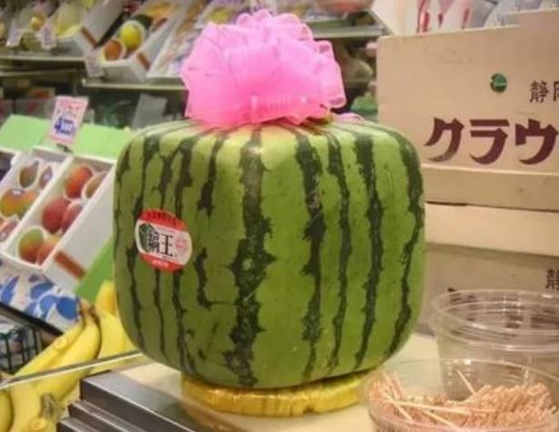 日本卖出3.1万元黑皮西瓜,全世界产量仅有几