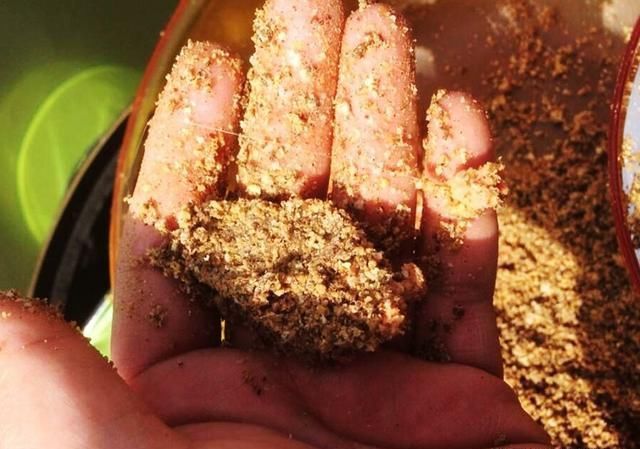  牢记■钓鱼不牢记这几点，就是神仙来了也钓不到