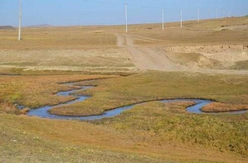 世界最“袖珍”的河，书都可以当桥梁，大鱼过去后“瘦了一圈”！