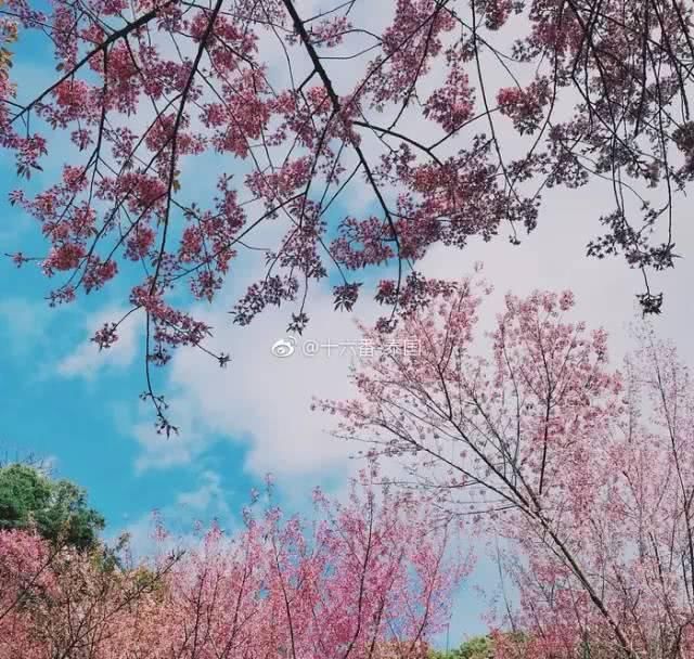 这个网红地儿，来多少次都不会腻！签证好办，性价比高过日本！