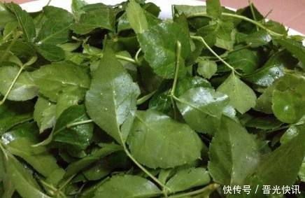 农村一种野草，人称“解百毒”，常被用来做汤，一斤卖到240