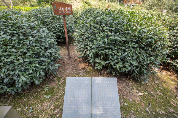 西湖最冷门的旅游路线，人少景美，一般人都不知道