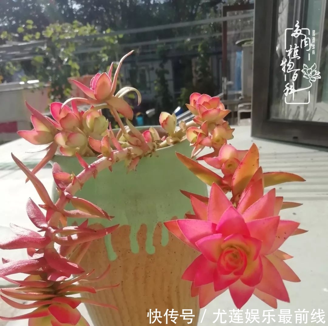  『那种』我爱的，就是你的存在！只要努力该来的都在路上！
