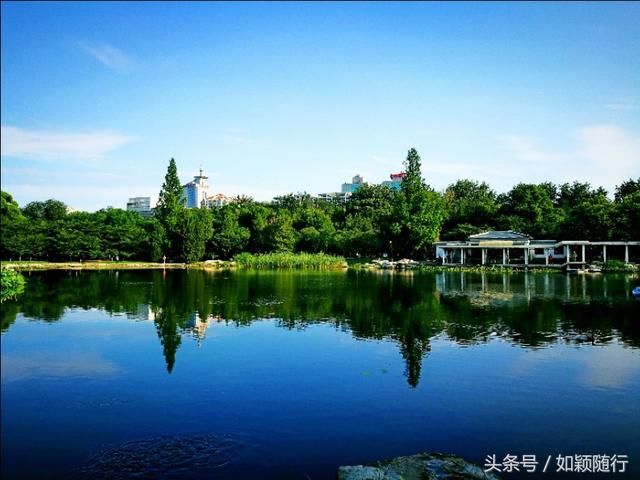 秋到玉渊潭 幽幽深潭 水阔林丰 人在画中游