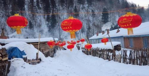 中国雪乡“风景如画”，并且承诺不会再宰客，你还会再相信雪乡吗