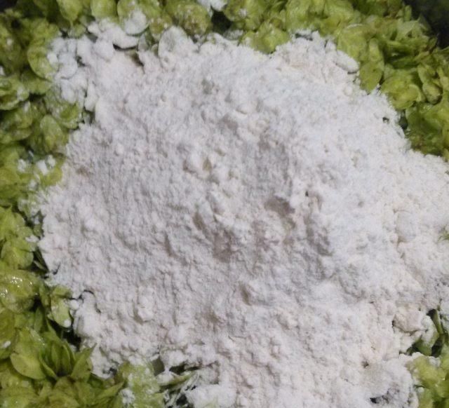  榆钱■榆钱窝窝头，怎能错过如此美味
