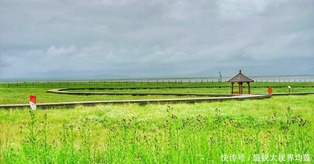 甘肃最大高原淡水湖变迁史 曾三次干涸见底 20年“长”大五倍！