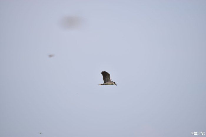 奥迪A6L，宝马X3，奔驰GLB，凯迪拉克CT5，不一样的新感受之九