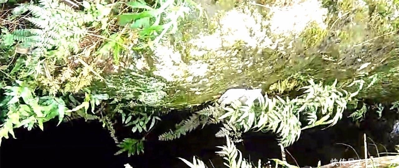 世上唯一裂缝国界线:真是世界一绝,将中国和越南完美的分开!