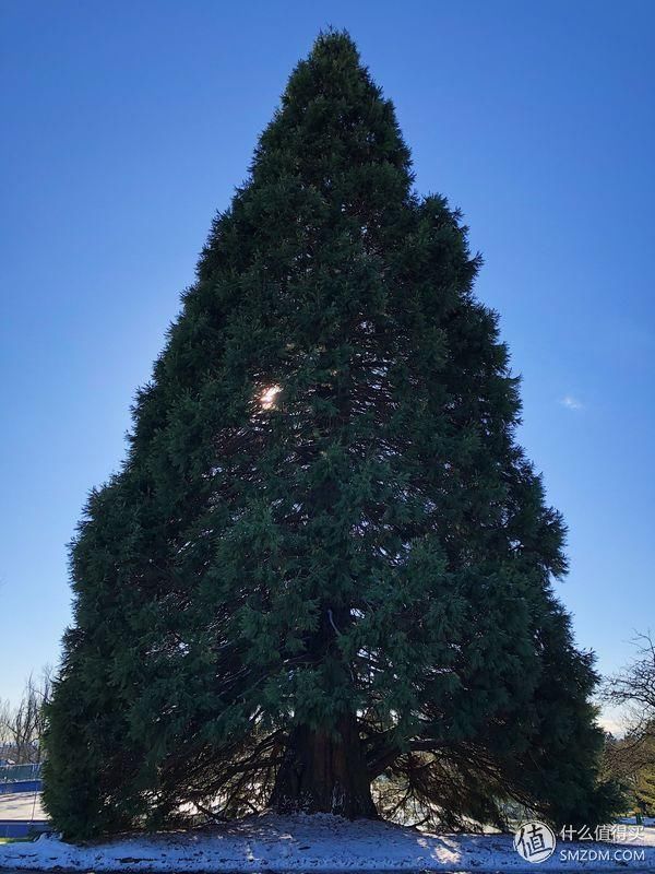 高逼格旅行美照怎么拍?秘笈在此,手慢无!