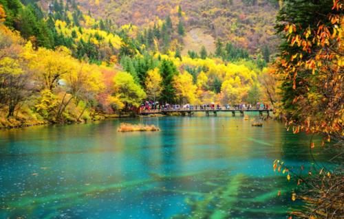 我国面积最大“枫叶景区”！比香山大180倍？是中国的阿尔卑斯！