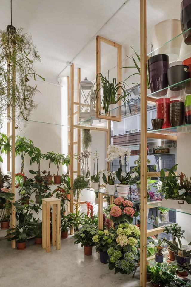  花店@请拖住下巴，全球9间超赞的花店