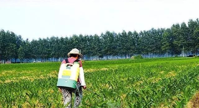  [农村]国务院发出“4大死令”：整死农村，75％农民坐牢，不听劝