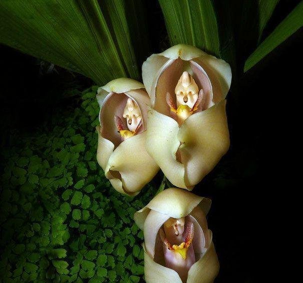 13张像ps出来的图片，却都是自然界真实存在的