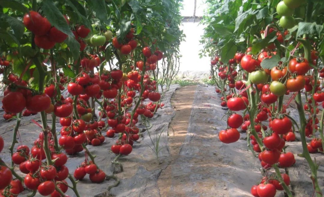 你家一亩地居然值200万！快看看，不知道可就亏大了......