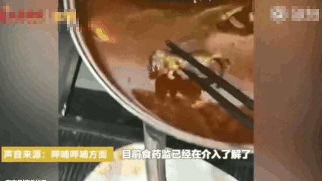 山东孕妇吃火锅捞出死老鼠吓腿软，市场监管局已介入调查