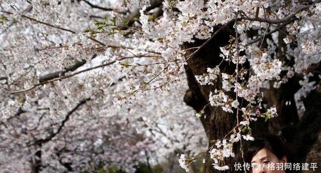 中国游客每年在这个国家消费千亿，他们却表示中国人别再来了