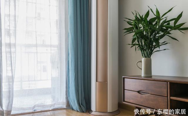 回家|花市买回家的花总是养死?其实是这几个“小动作”做错了,要注意