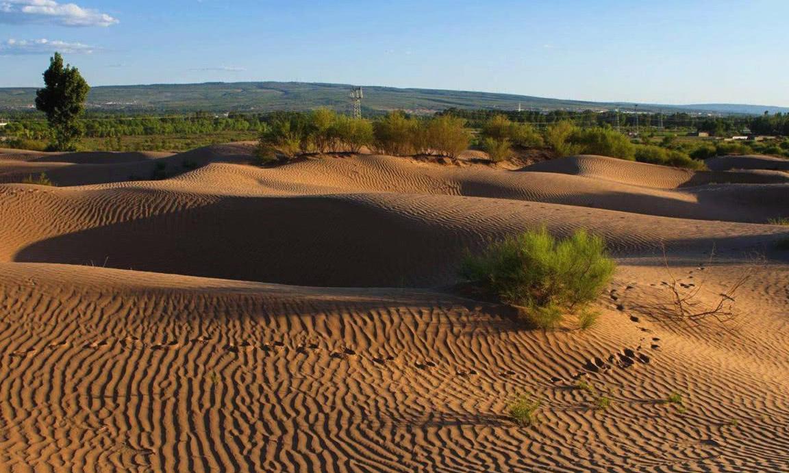 中国又一个即将消失的沙漠，沙漠变绿洲，知道在哪里吗？