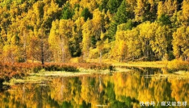 有一种美，叫阿尔山的秋