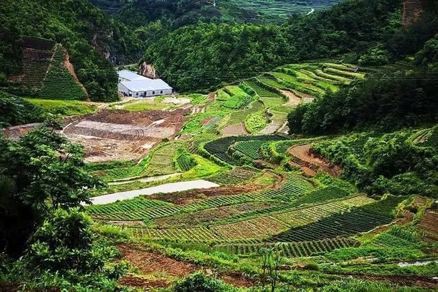 这个浙江秘境县城藏着《延禧》同款火树银花，还有一座“天空之城