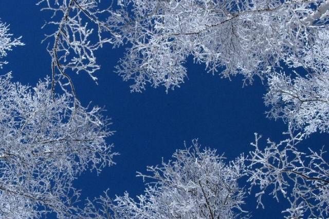 雪后的张家界,银装素裹,如临仙境!