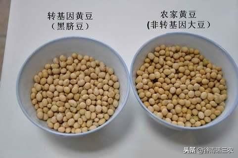 农民为啥害怕转基因的东西？