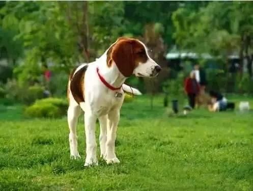  #新房#为什么很多人离开了农村，还要在老家盖一栋新房？