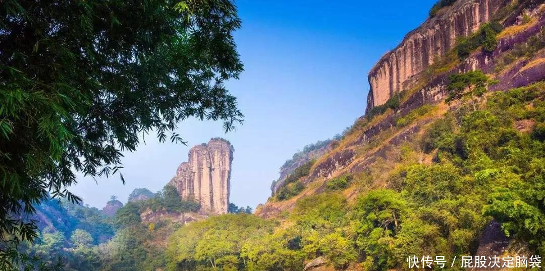 中国最珍稀的植物，曾一根分枝都能卖20多万，现在有钱也买不到！