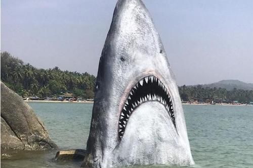 海边的石头竟然变成了“大白鲨”?人们纷纷跑来合影打卡