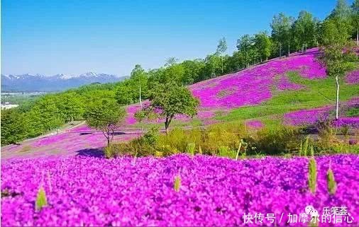 22张不可思议的世界照片，竟然不是PS