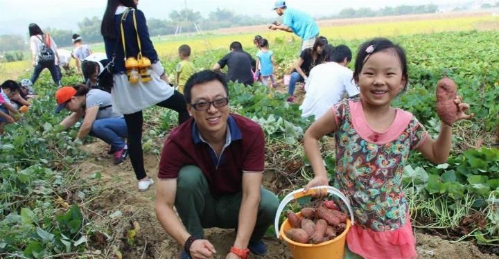 重磅!河南发现8000年历史的新石器时代遗址,又一个超级景区将诞