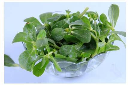 植物日记植酵舒衡水漾面膜，锁住水分，唤醒年轻