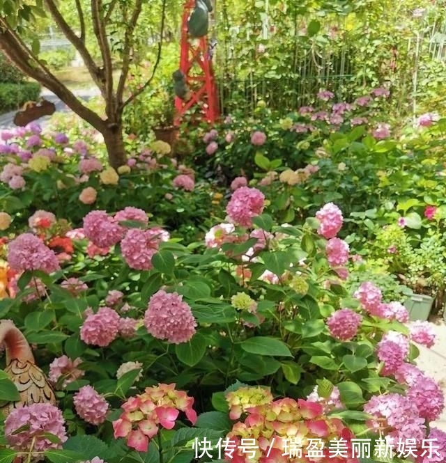 「平方」有了30平方的小院,能将日子过成了诗?简单而精致,优雅而从容!