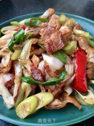  「芽葱」“春日应季美食”春葱炒肉