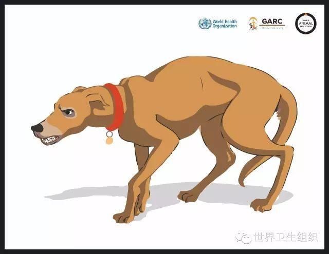 我家狗不咬人?真相是:黄石城区上半年4000人