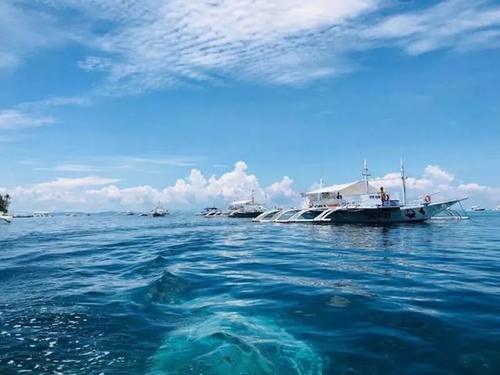 人生怎么也要看一次的长尾鲨！！