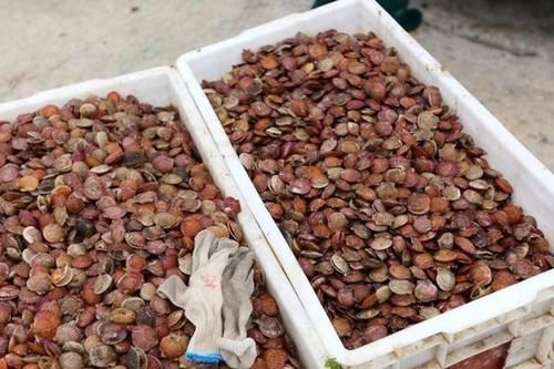 村子边散落很多红色稀罕物:却没有一个人去捡