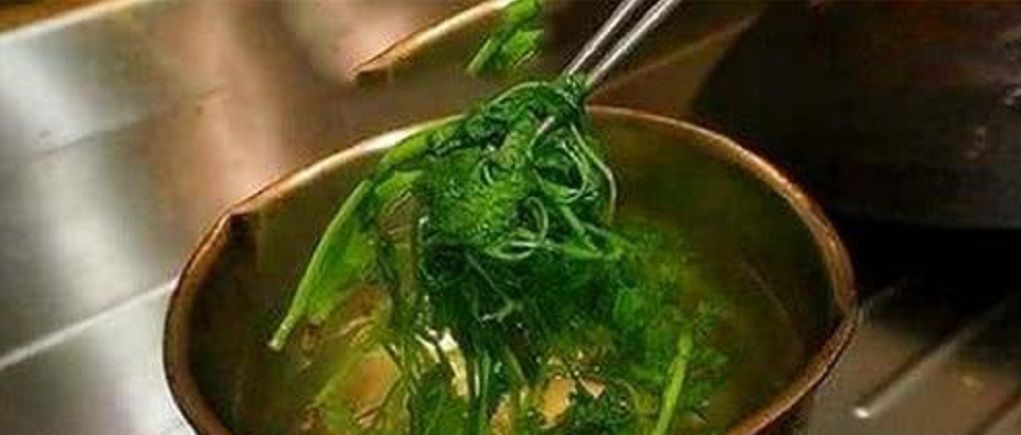  『方法』听说用香菜煮的水洗脸可以祛脸上的雀斑,是真的吗?