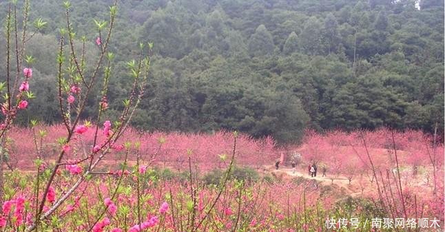 强强联手, 广东省合并最成功的城市