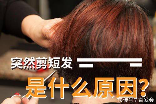 短发@女生会因为什么原因剪短头发?哪条戳中你?!