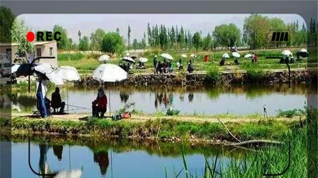  [打工]50多岁的农村，不能打工的话，有什么好方法挣钱呢？