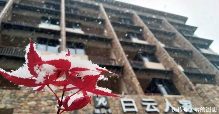 今日冬至:好吃不过饺子,好玩不过白云山