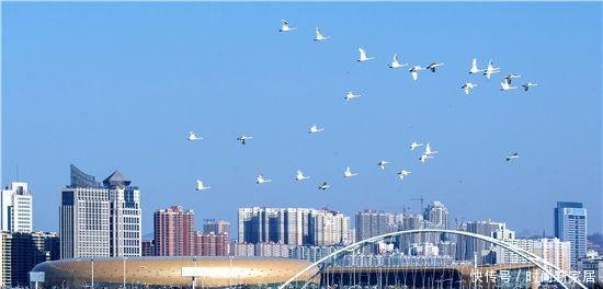 河南发展前景最好的城市，不是洛阳也不是商丘，而是这个四线城市