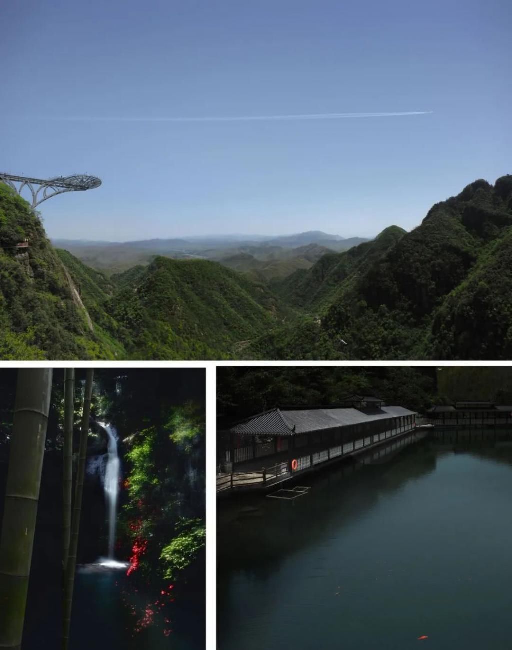  『辞职』从银行辞职做“花农”，她打造的花园超治愈